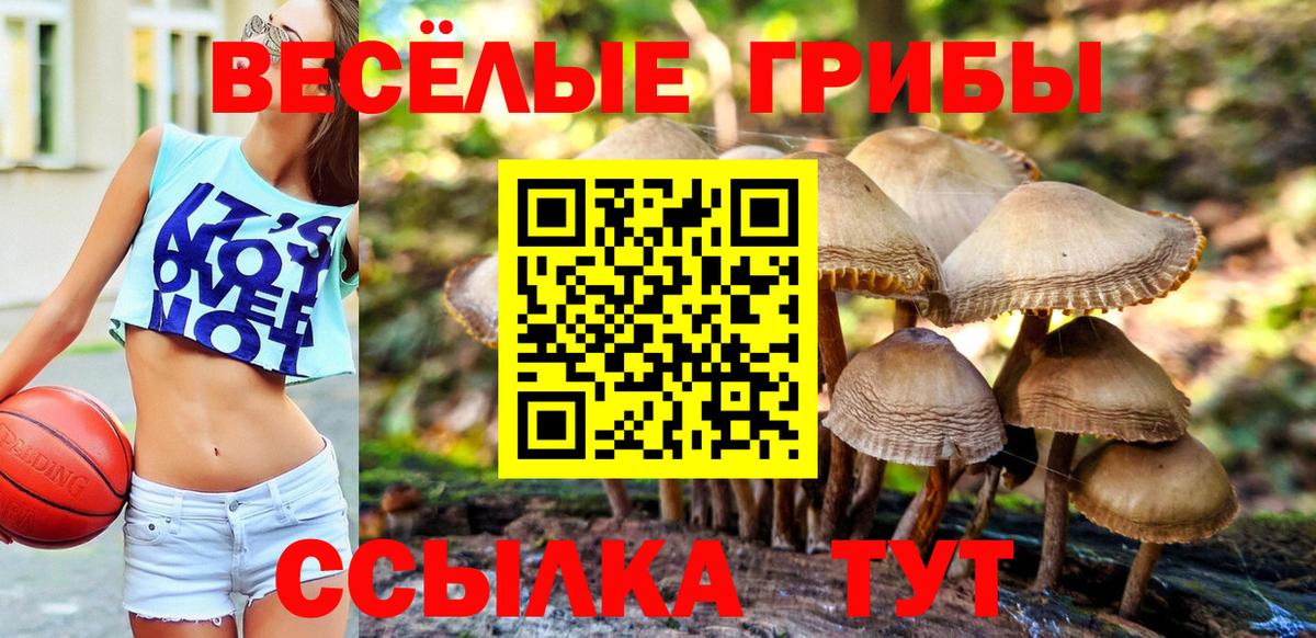 Серов  Галлюциногенные грибы Magic Shrooms  Вход с VPN 